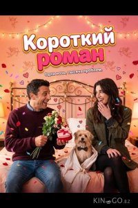 Короткий роман 