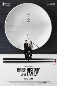 Краткая история семьи 