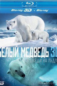 Полярные медведи 