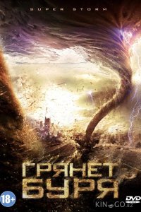 Грянет буря 