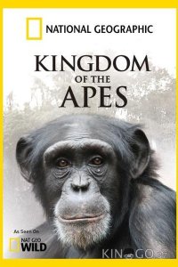 National Geographic. Королевство обезьян: Брат против брата 