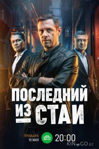 Последний из стаи 1 12