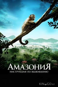 Амазония: Инструкция по выживанию 