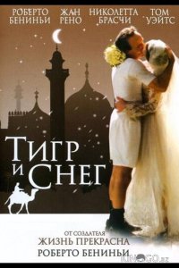 Тигр и снег 