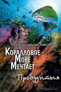 Грёзы Кораллового моря: Пробуждение 