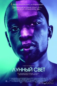 Лунный свет 