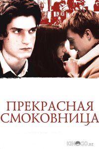 Прекрасная смоковница 