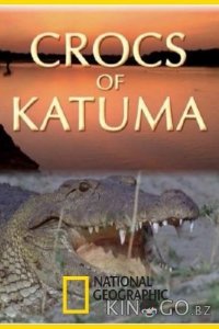 National Geographic. Крокодилы Катумы 