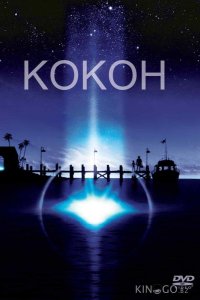 Кокон 