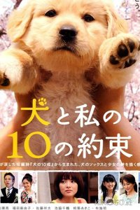 10 обещаний моей собаке 