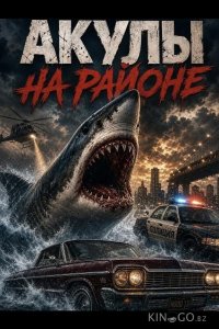 Акулы на районе 