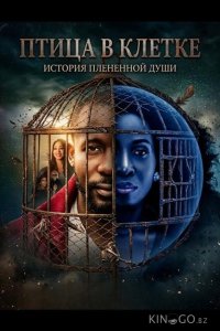 Птица в клетке 