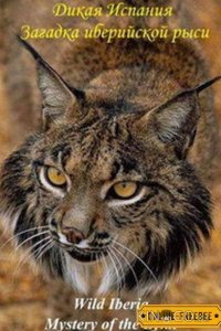 National Geographic. Дикая Иберия. Загадка иберийской рыси 