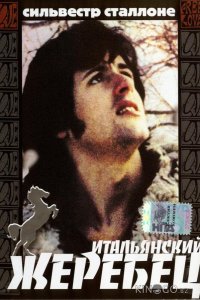 Итальянский жеребец 