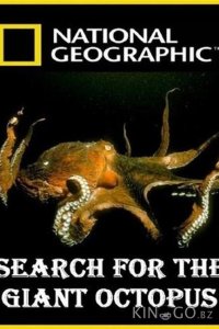 National Geographic. В поисках гигантского осьминога 
