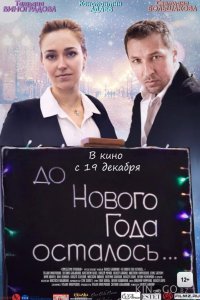До Нового года осталось… 