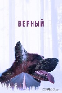 Верный 