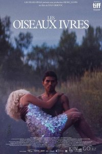 Пьяные пташки 