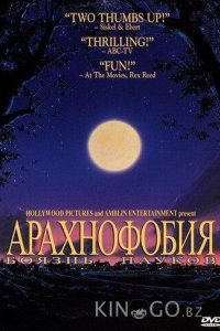 Боязнь пауков 