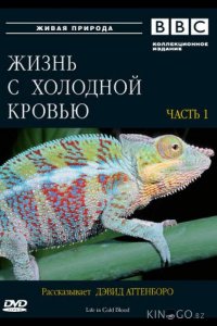 BBC: Жизнь с холодной кровью 1 5
