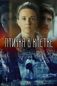 Птичка в клетке 1 2