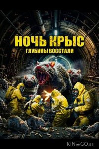 Ночь крыс 