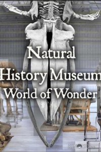 Natural History Museum: World of Wonder 1 4