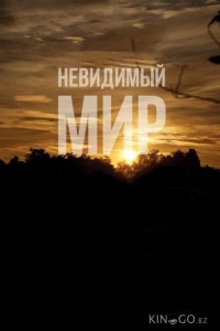 Невидимый мир 