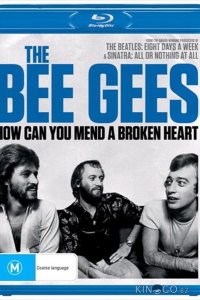 The Bee Gees: How Can You Mend a Broken Heart 