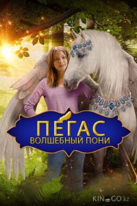 Пегас: Волшебный пони 