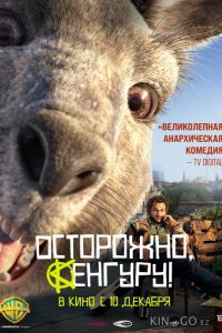 Осторожно, Кенгуру! 