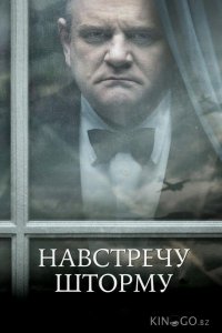 Навстречу шторму 