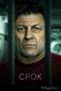 Срок 2 3