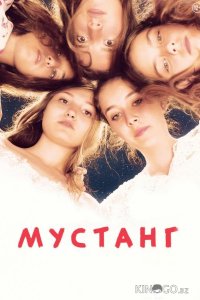 Мустанг 