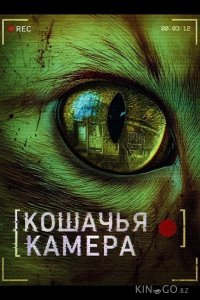 Кошачья камера 
