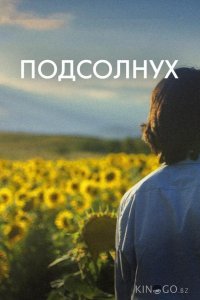 Подсолнух 