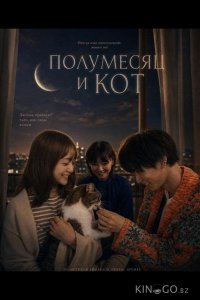 Полумесяц и кот 