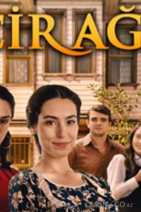 Фиговое дерево 1 5