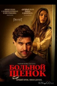 Больной щенок 