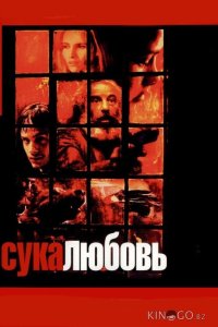 Сука-любовь 