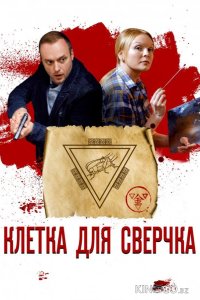 Клетка для сверчка 1 4