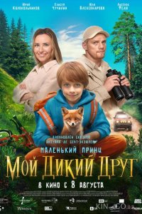 Мой дикий друг 