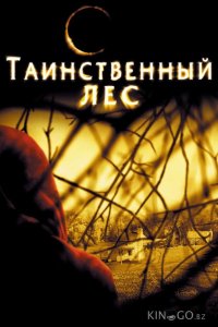 Таинственный лес 