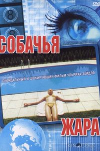 Собачья жара 