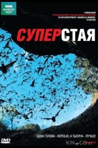 BBC: Суперстая 1 2