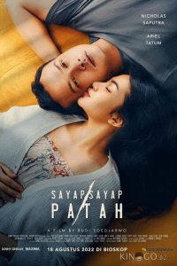 Сломанные крылья 