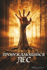 Пробуждающийся лес 