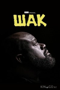 Шак 1 4