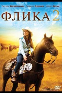 Флика 2 