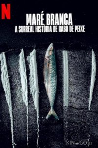 Дары моря: невероятная история Рабу-ди-Пейши 